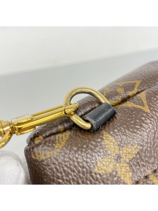 Louis Vuitton Backpack Monogram Palm Springs Mini Brown
